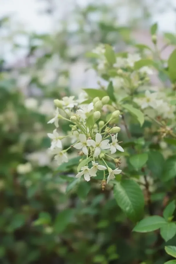 追风少年热门海报